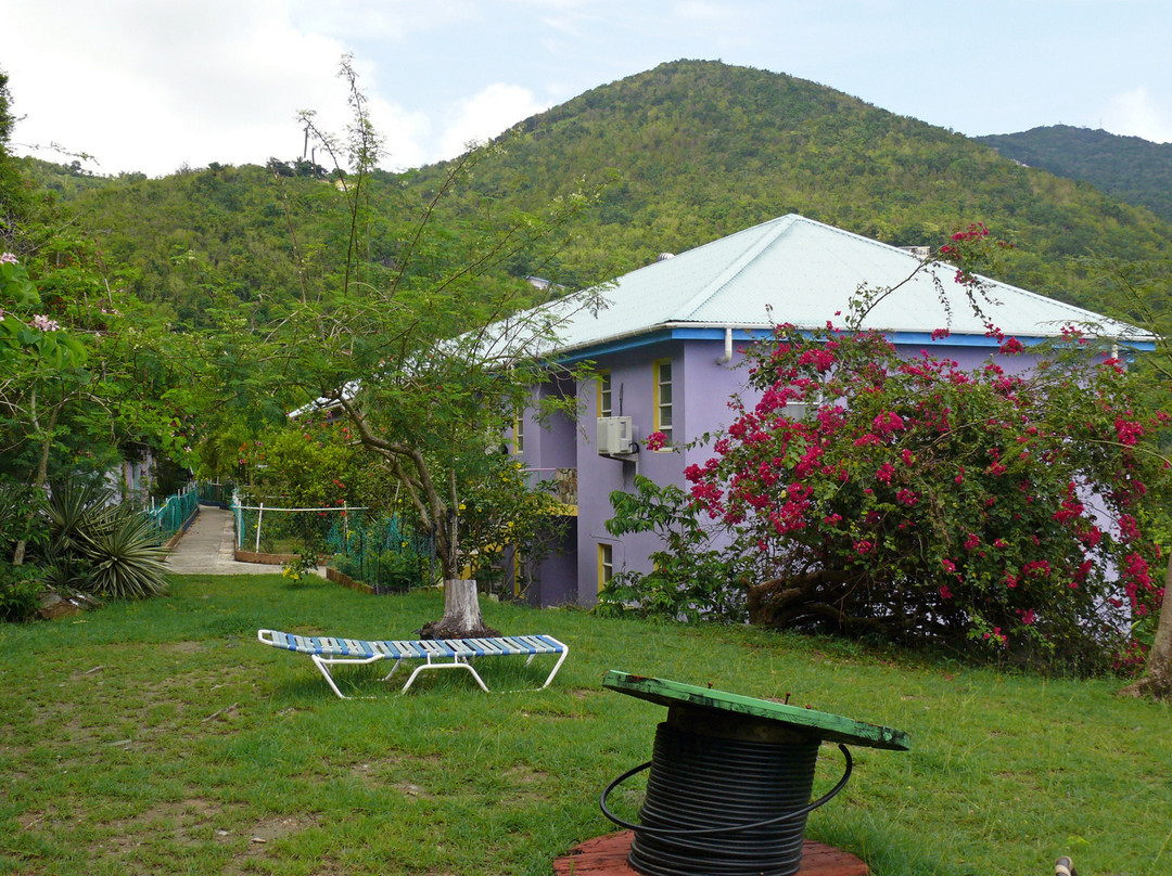 Carrie"s Comfort Inn主图