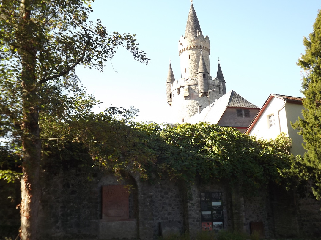Friedberg Castle景点图片