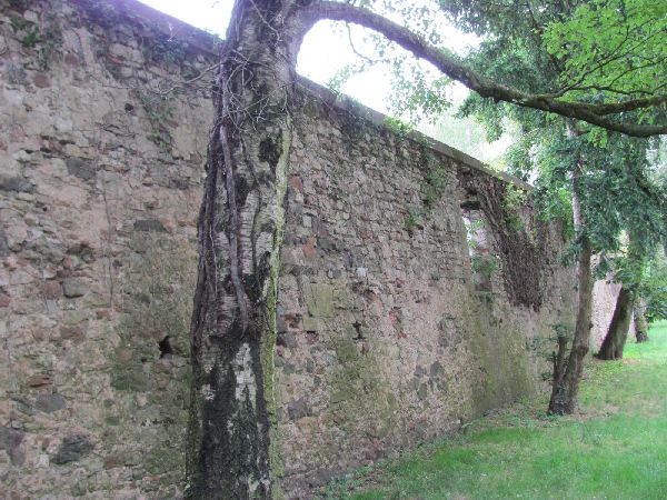 Stadtmauer-特里尔必去景点