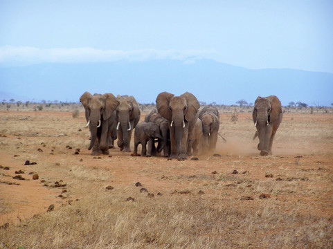 Ndohakashani Tours-瓦塔木必去景点