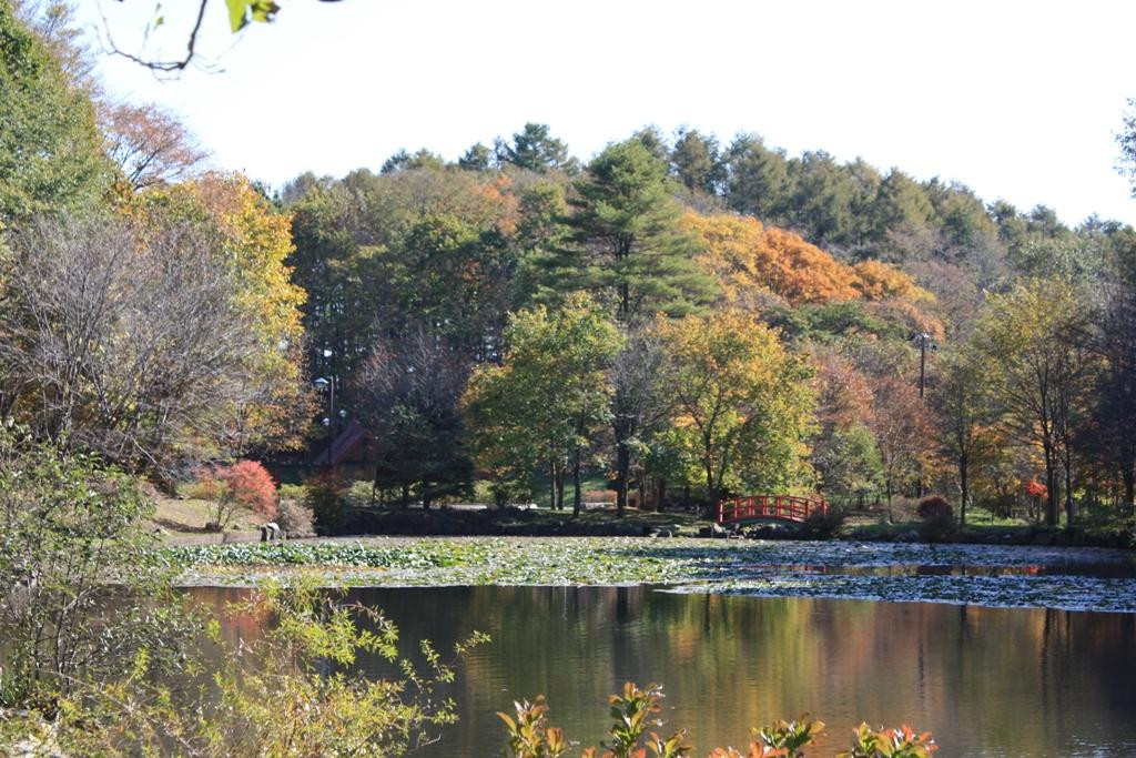Abira Town Deers Park-安平町必去景点