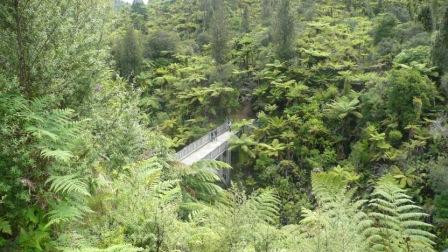 Whanganui River-旺加努伊必去景点