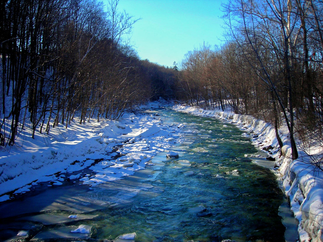 Chester旅游攻略图片