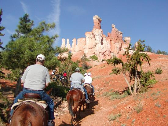Canyon Trail Rides景点图片