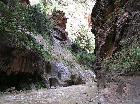 纽约湾海峡-锡安国家公园必去景点
