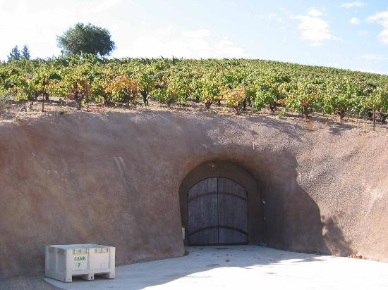 Bella Vineyards and Wine Caves景点图片