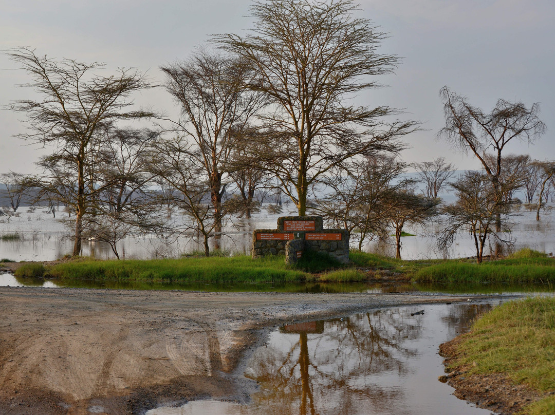 Lake Nakuru景点图片