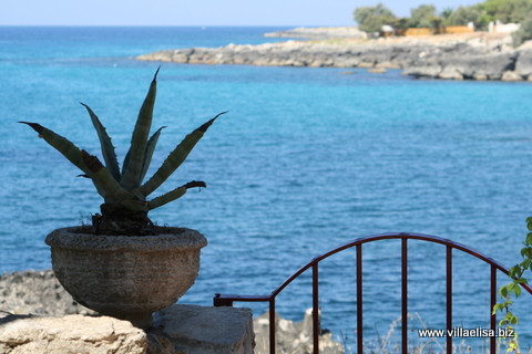 Villa Elisa B&B