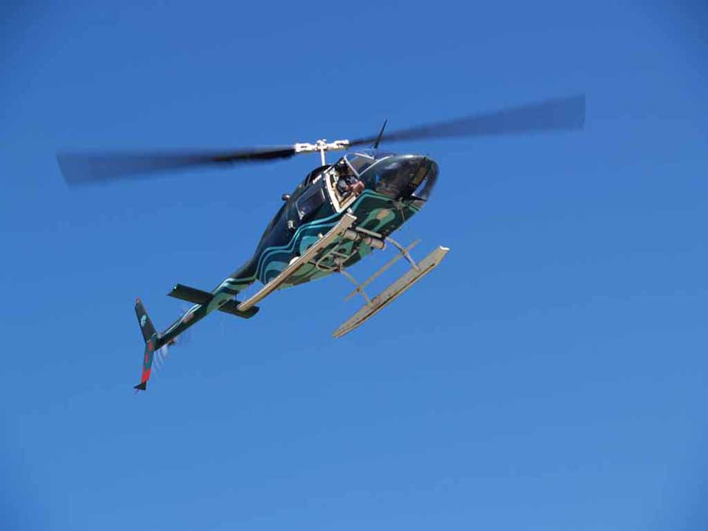 Precision Helicopters-科夫斯港必去景点