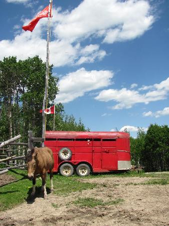 Homeplace Ranch
