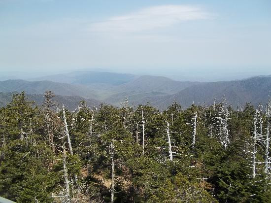 Kuwohi-大雾山国家公园必去景点