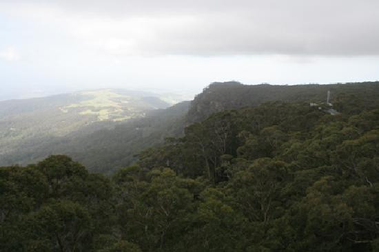 Illawarra Fly Treetop Walk景点图片