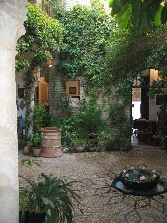 Casa Andalusi景点图片