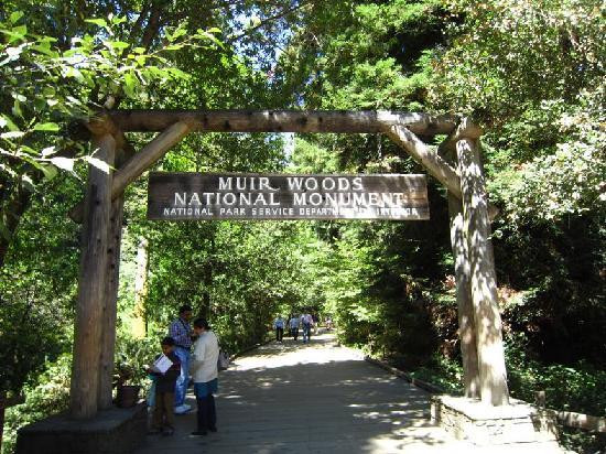 谬尔红杉森林-米尔谷必去景点