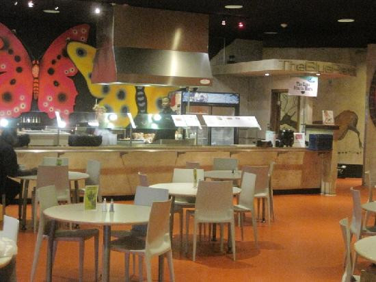 Cleveland Museum of Natural History-克利夫兰必去景点