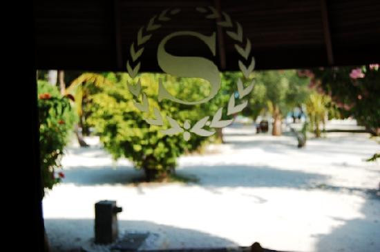 熊利桑那野生动物园-威廉姆斯必去景点