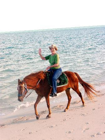 Provo Ponies-Long Bay Hills必去景点