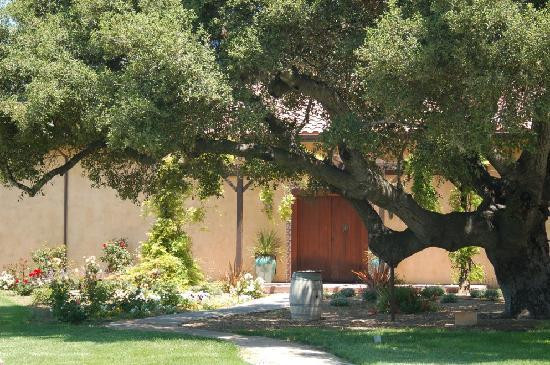 丽都葡萄园-索尔万必去景点