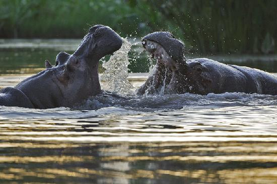 Meru Museum-Meru National Park必去景点