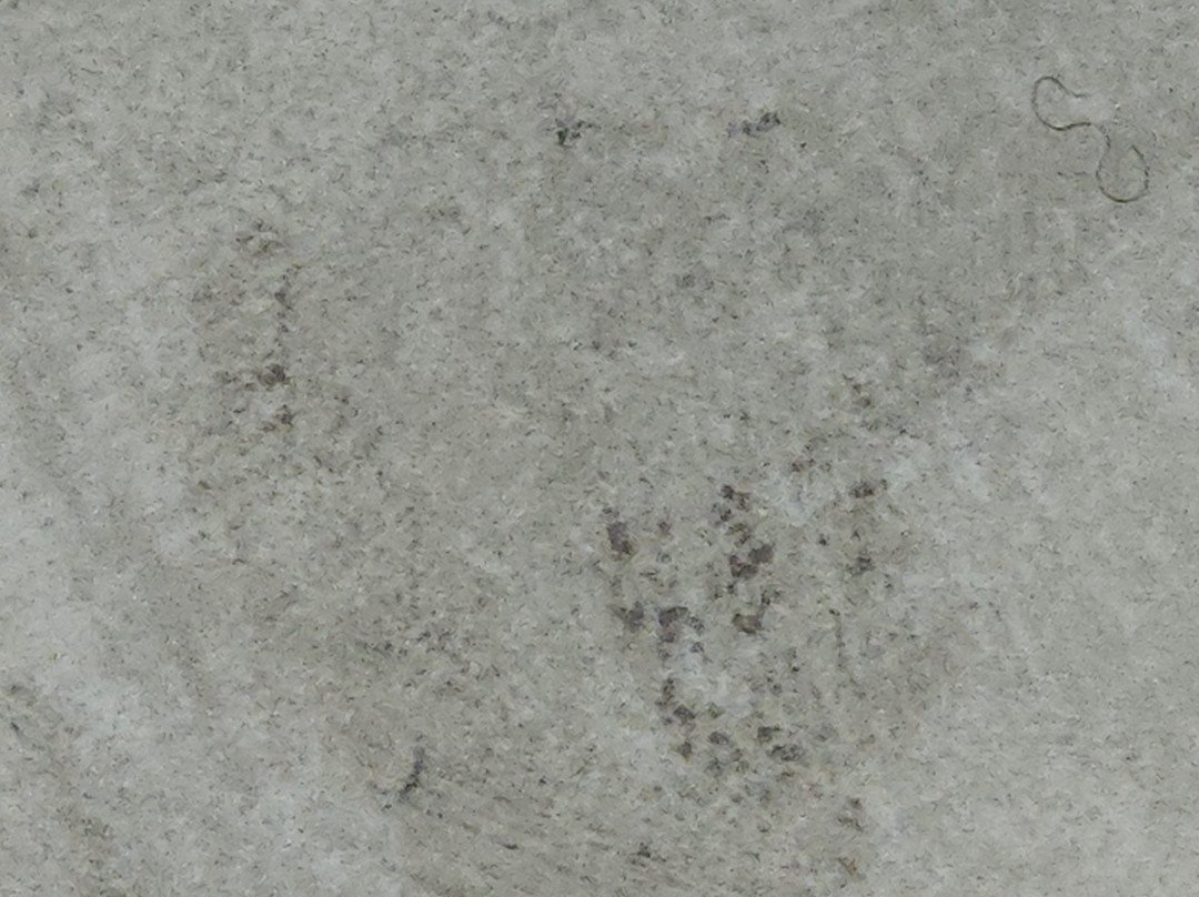 Holiday Inn Express Richmond-Mechanicsville by IHG主图