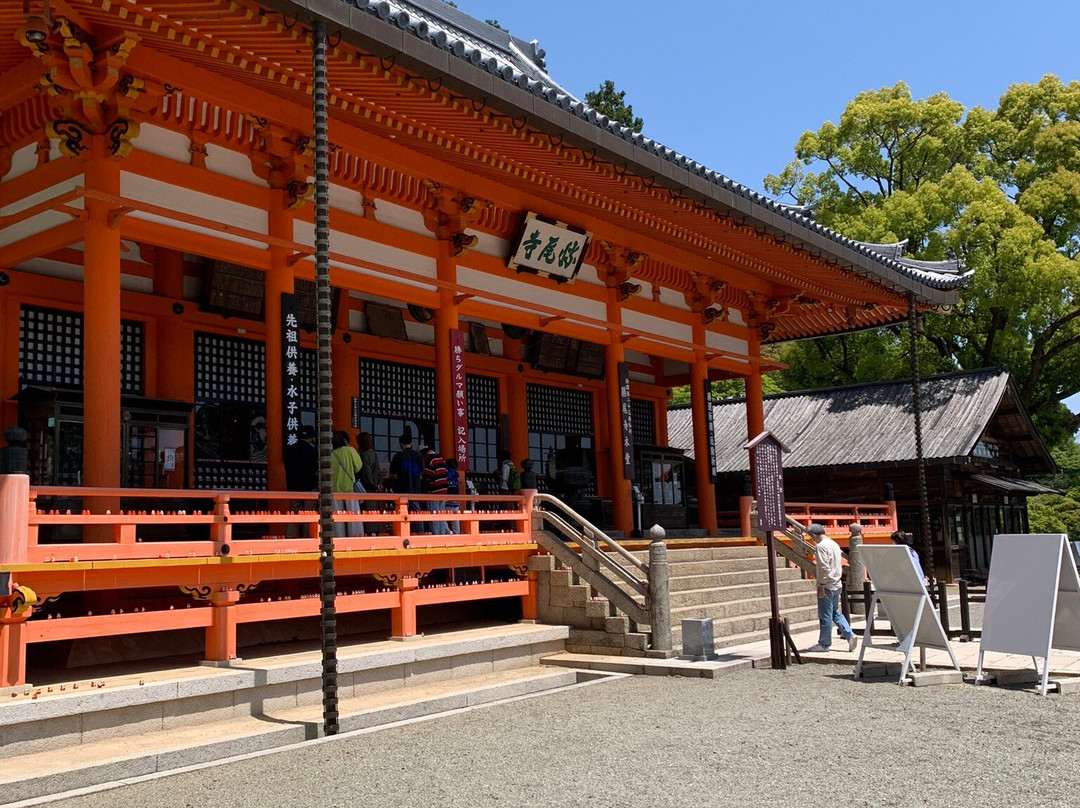 Katsuo-ji Temple Hondo-美浓市必去景点