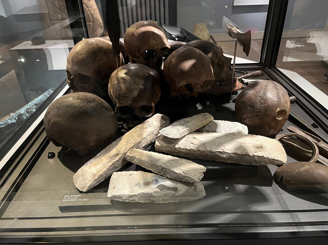 Roskilde Museum景点图片