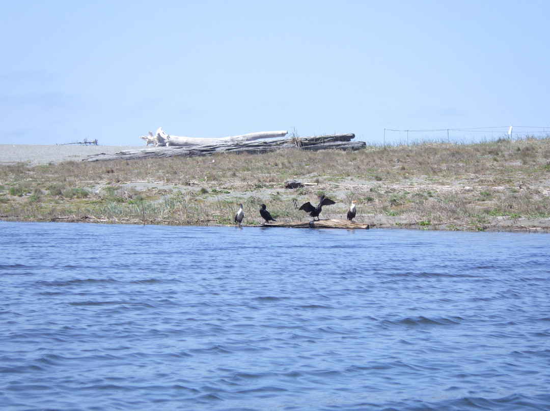 Big Lagoon County Park景点图片