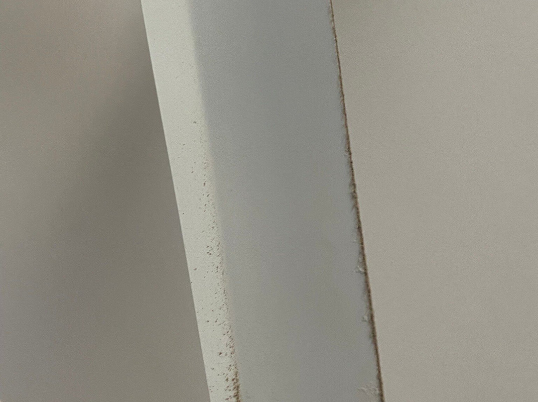 布鲁姆盛橡酒店主图