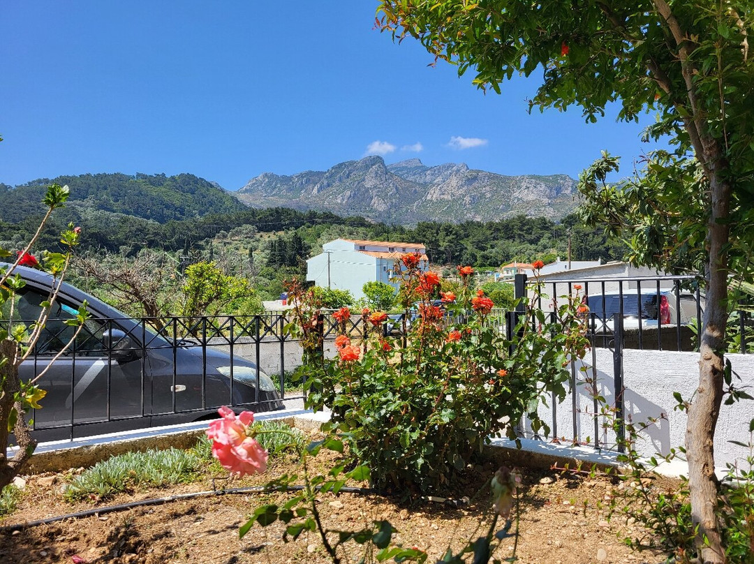 Kalidon Beach Hotel主图