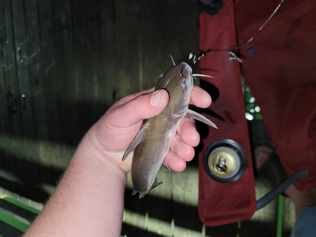 Galveston's 61st Street Fishing Pier-盖维斯顿必去景点