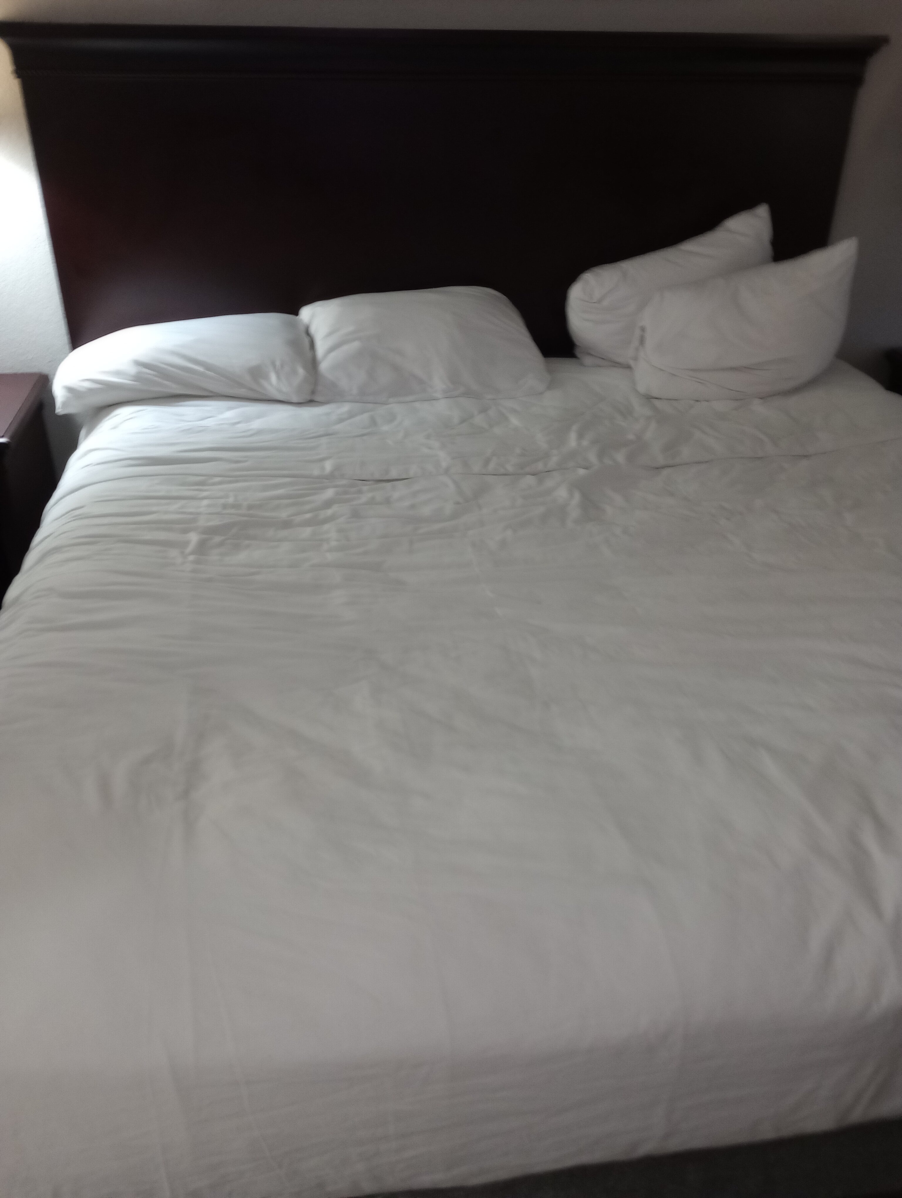 Country Inn & Suites by Radisson, Albany, GA-客卧