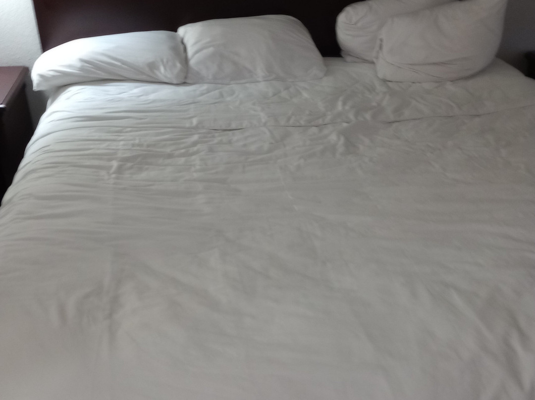 Country Inn & Suites by Radisson, Albany, GA主图