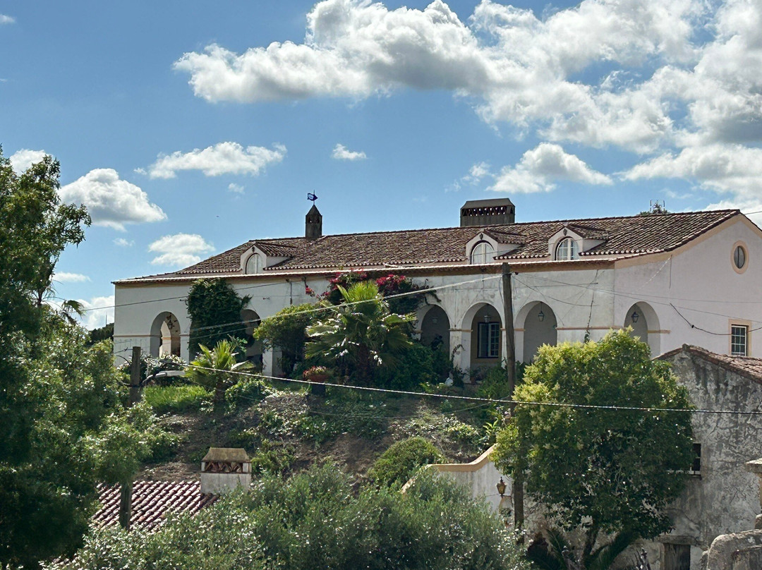 Quinta de Santa Barbara by Heaven's Sleepy主图