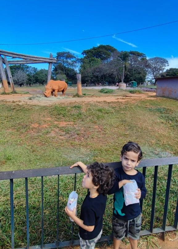 Jardim Zoológico De Brasília-巴西利亚必去景点