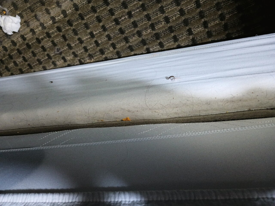 莫斯科帕尔曼拉金塔旅馆&套房酒店主图