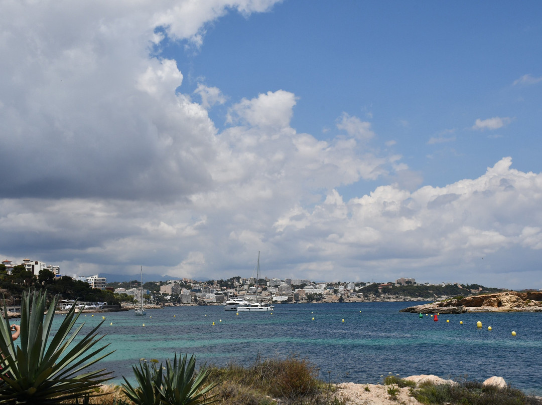 Cala Comtesa景点图片
