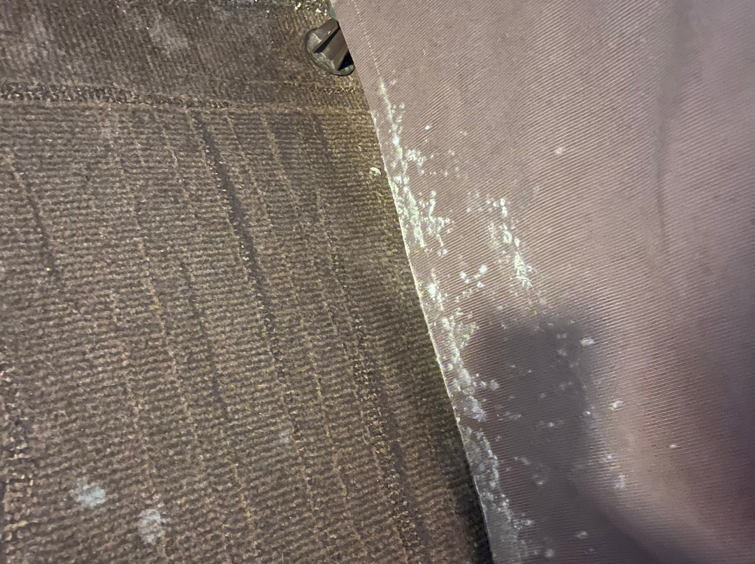 Red Roof Inn Boston Southborough/Worcester主图