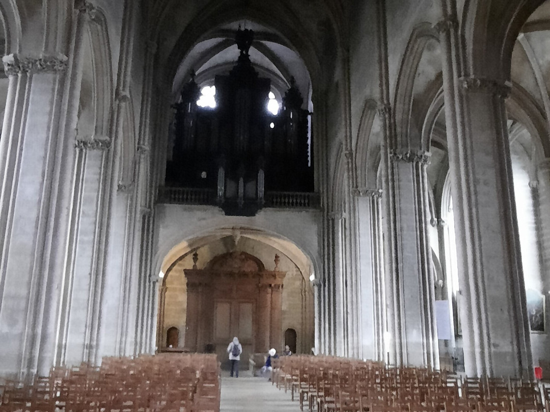 Église Saint-Michel de Dijon-第戎必去景点