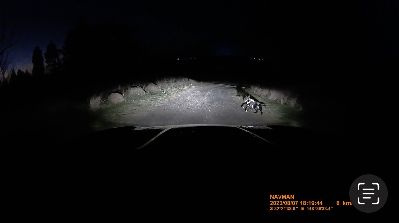 Bulwarra Bed & Breakfast-官方