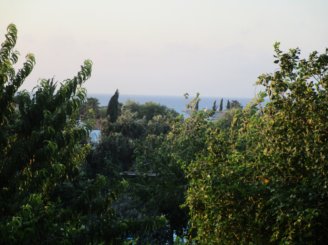 Lapida Garden Hotel主图