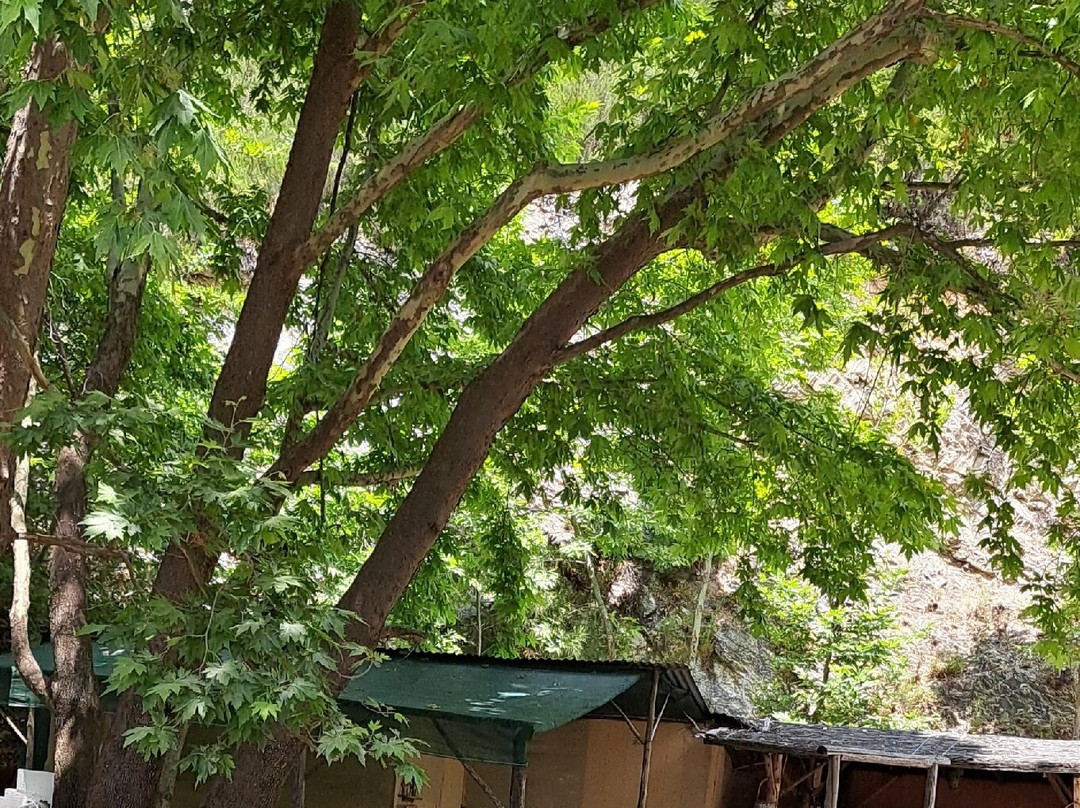 Maries Lakes-Maries必去景点