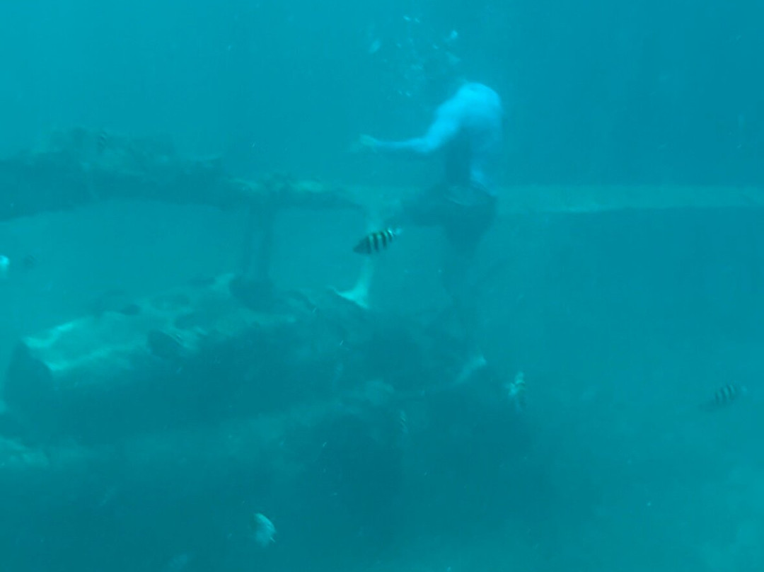 Tiki Hut Snorkel Park景点图片