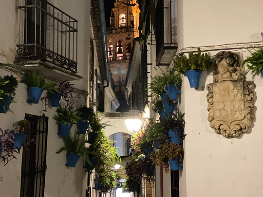 Woow Cordoba-科尔多瓦必去景点