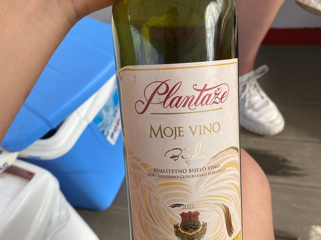 Boat Cruise Viktor-维尔巴札拉必去景点