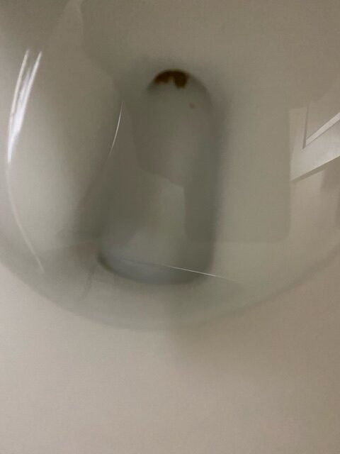 Homewood Suites by Hilton Birmingham-SW-Riverchase-Galleria主图