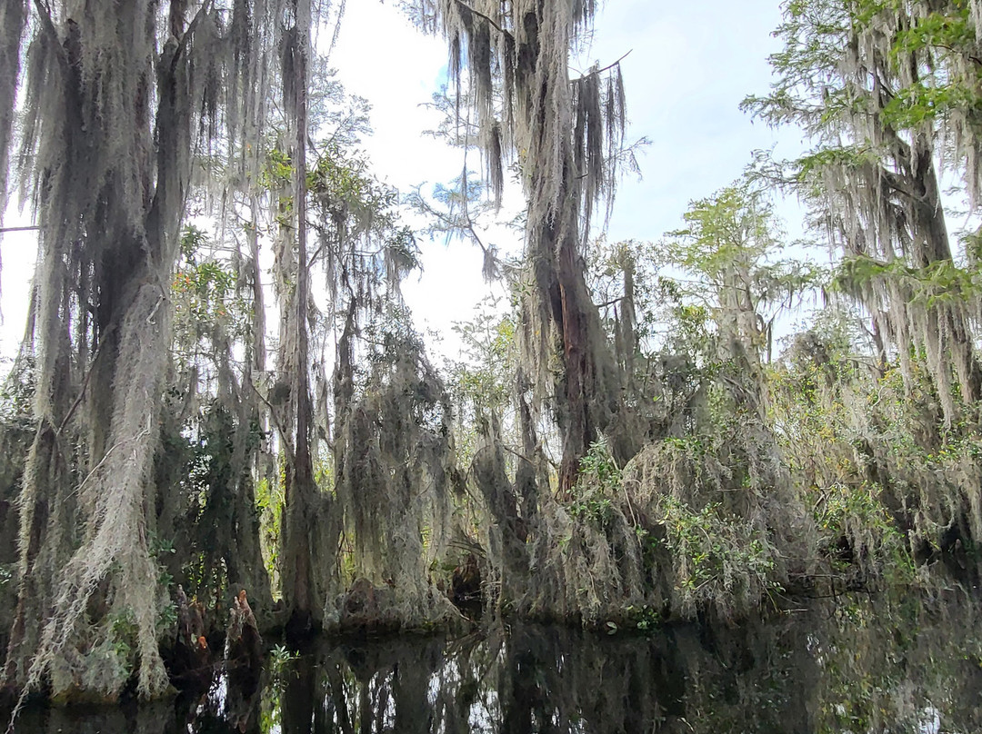 Okefenokee Adventures-Folkston必去景点