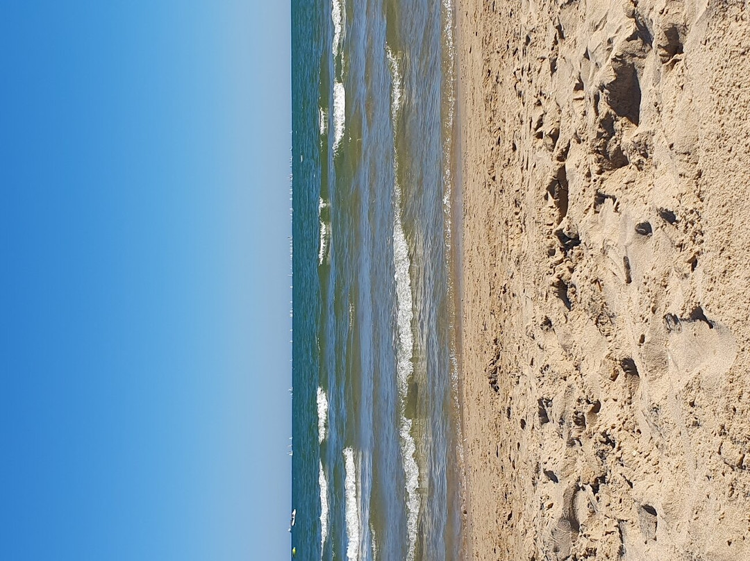 Playa de Pinedo景点图片