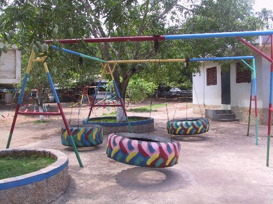 Wynter's Park & Farm景点图片
