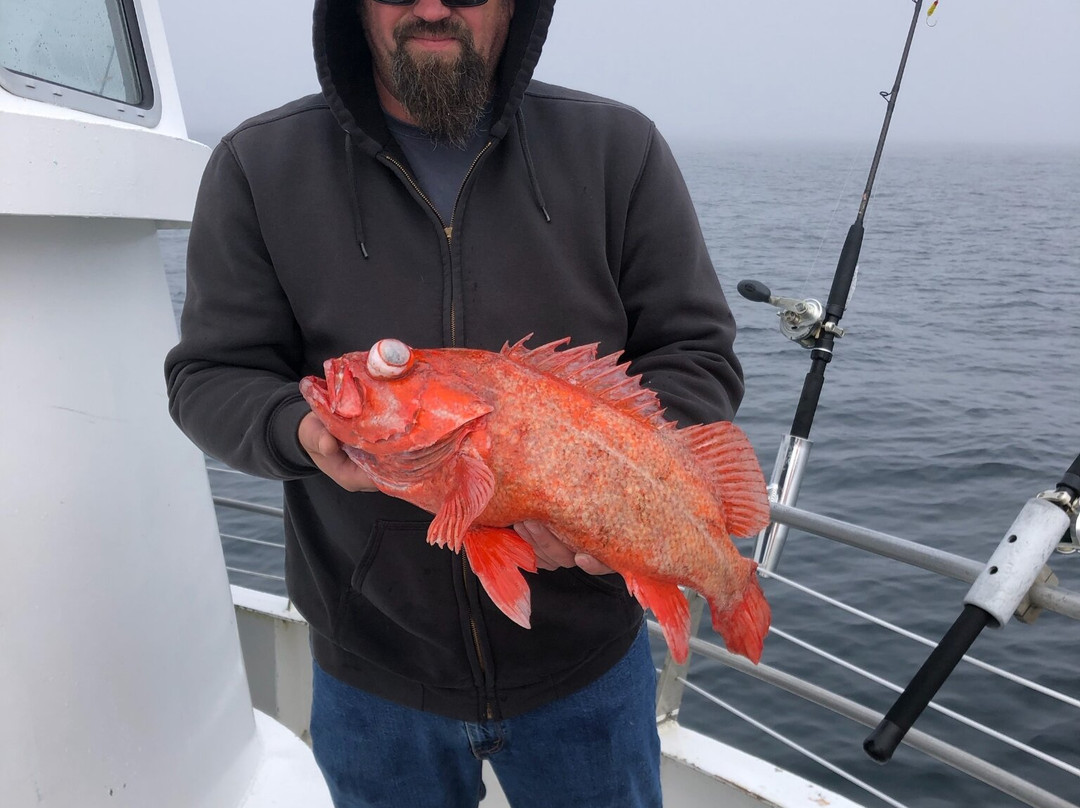 Betty Kay Charter-Charleston必去景点