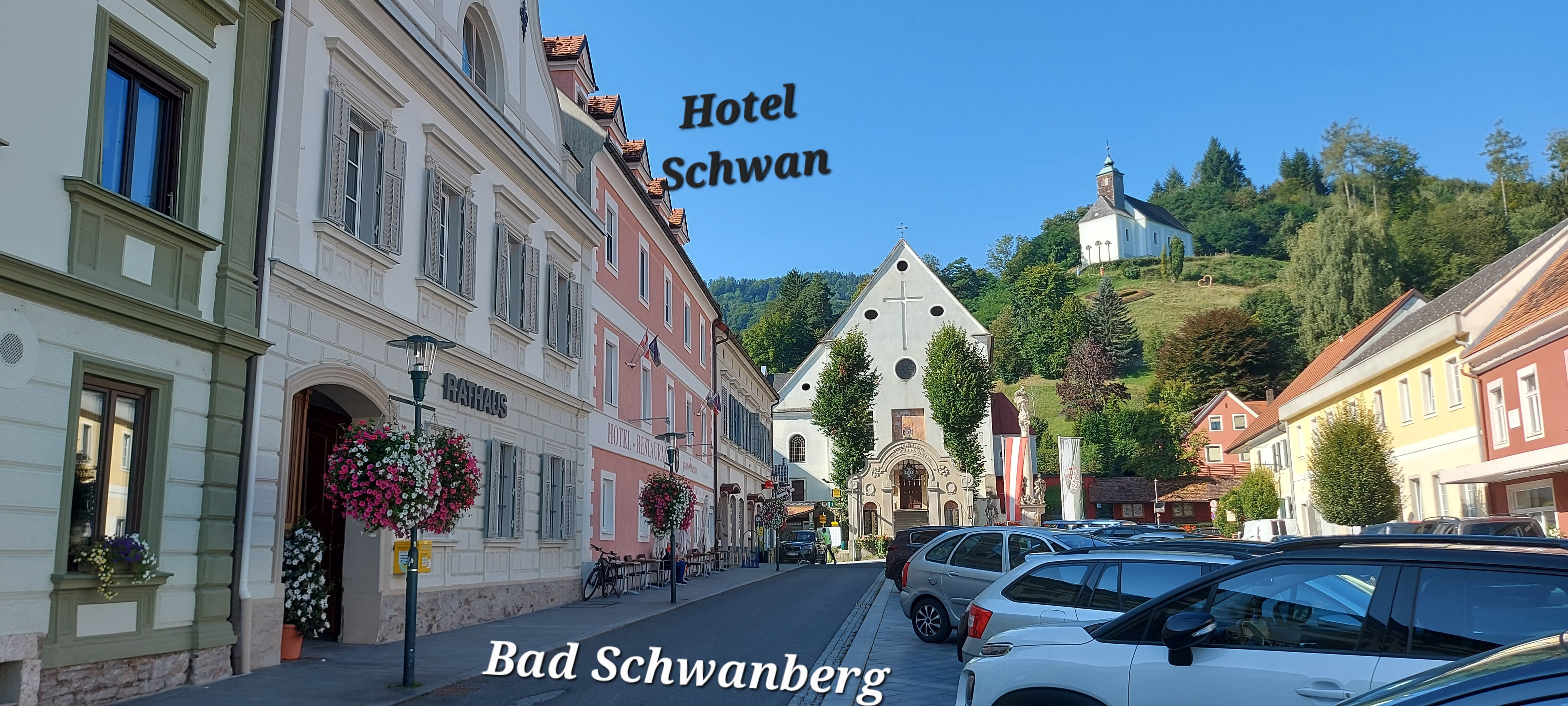 Hotel Zum Schwan-官方